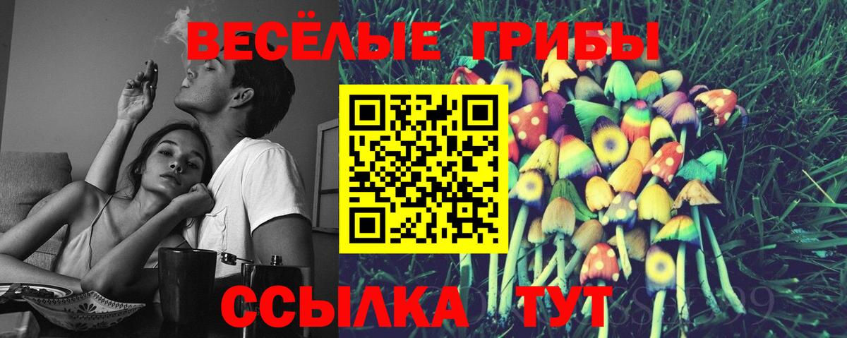 Псилоцибиновые грибы Cubensis  Галлюциногенные грибы мухоморы  Вход с VPN  Кохма 